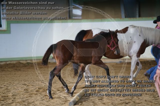 a_K3F03785.JPG